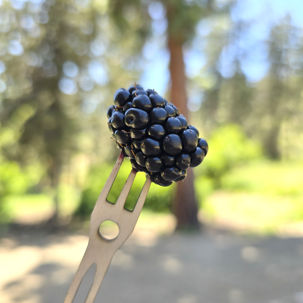Pocket Utensil Kit Card | Beechwood